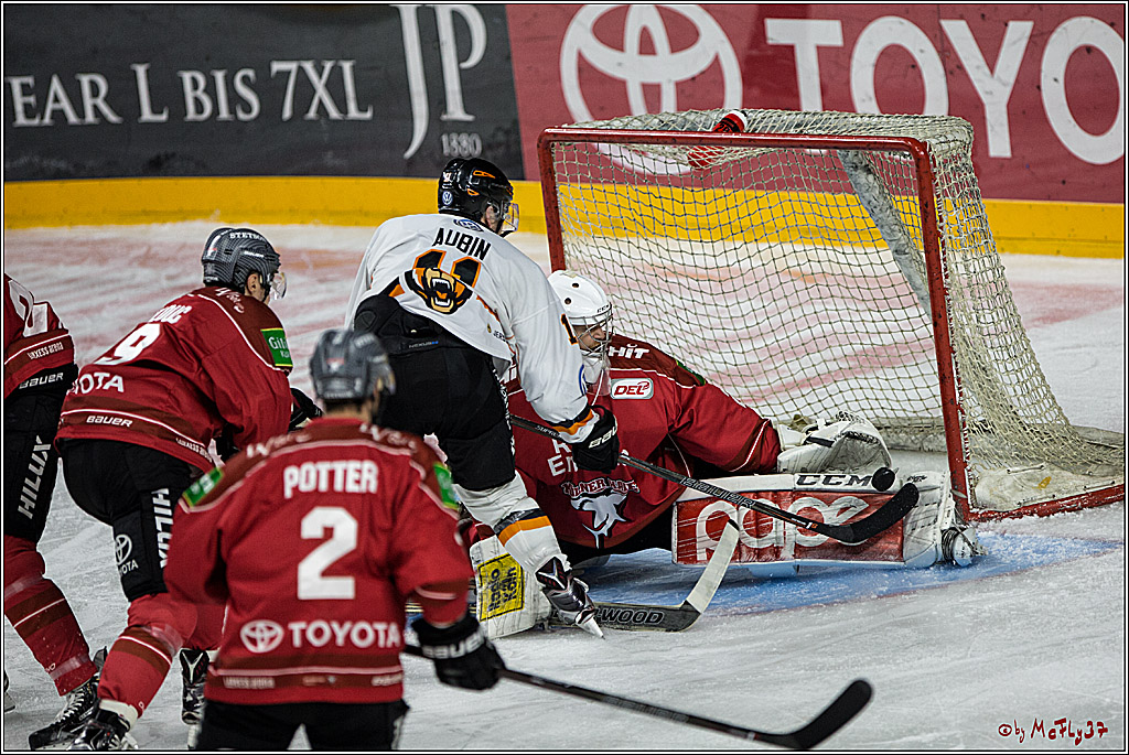 DEL, Koelner Haie - Grizzlys Wolfsburg, 12.03.2017